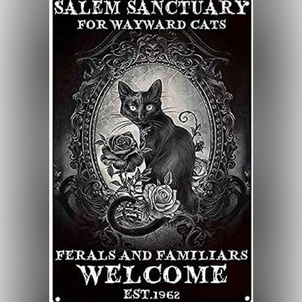 Salem Kitty Black Roses - Picture 2 of 2